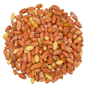 بادام زمینی آستانه