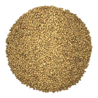 عدس درشت و خوش پخت
