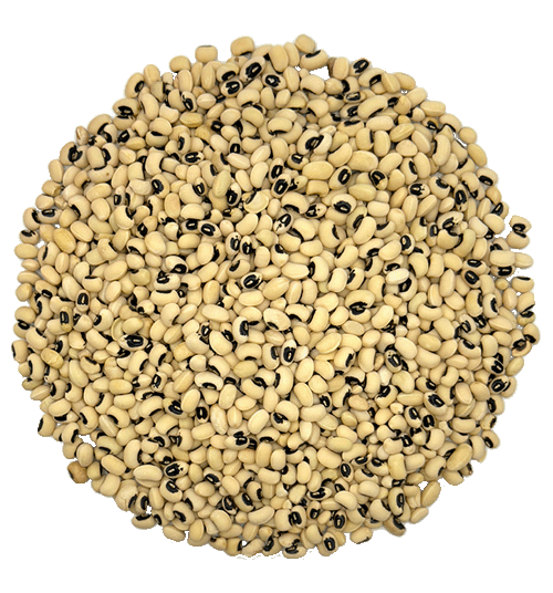 لوبیا چشم بلبلی