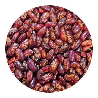 لوبیا چیتی محلی. ازبکستان