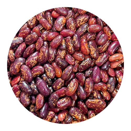 لوبیا چیتی محلی. ازبکستان